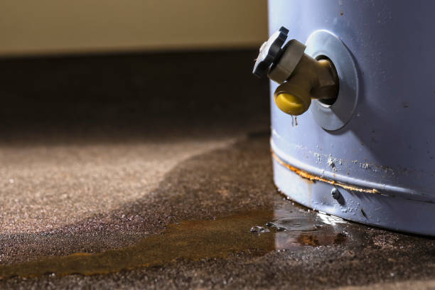 Best 24-hour water damage restoration  in Gunbarrel, CO