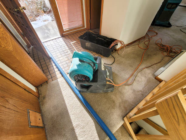 Best Water damage restoration near me  in Gunbarrel, CO