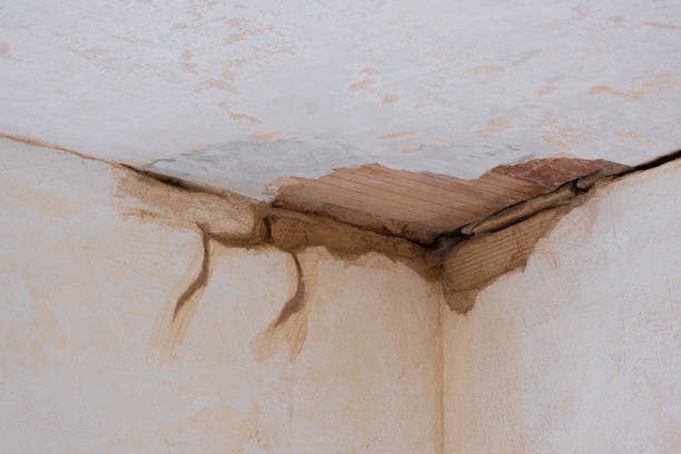 Best Flood damage cleanup  in Gunbarrel, CO