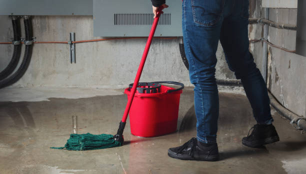 Best Local water damage restoration  in Gunbarrel, CO