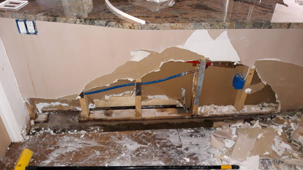 Reliable Gunbarrel, CO Water damage restoration Solutions