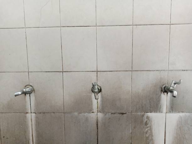 Best Flooded house restoration  in Gunbarrel, CO