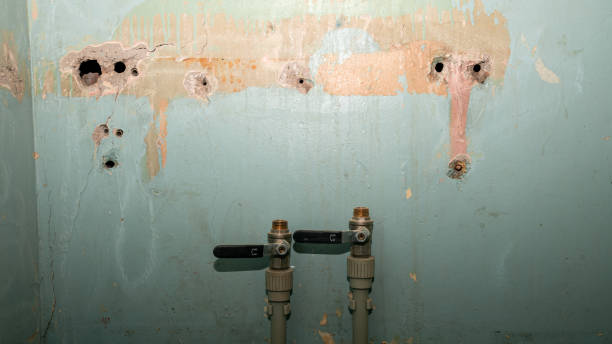 Local water damage restoration in Gunbarrel, CO