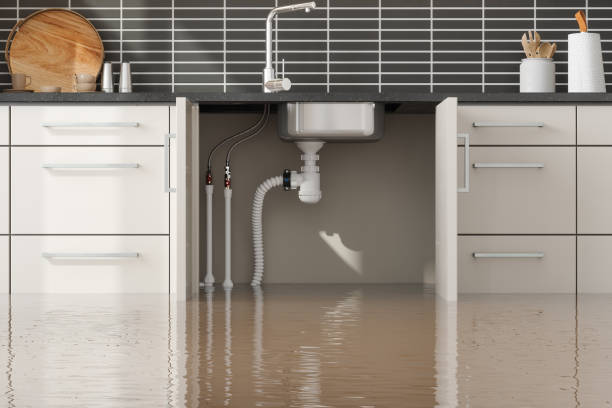Water damage restoration process in Gunbarrel, CO
