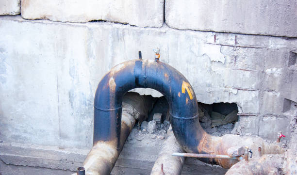 Best Professional water damage repair  in Gunbarrel, CO