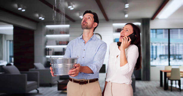 Best Carpet water damage restoration  in Gunbarrel, CO